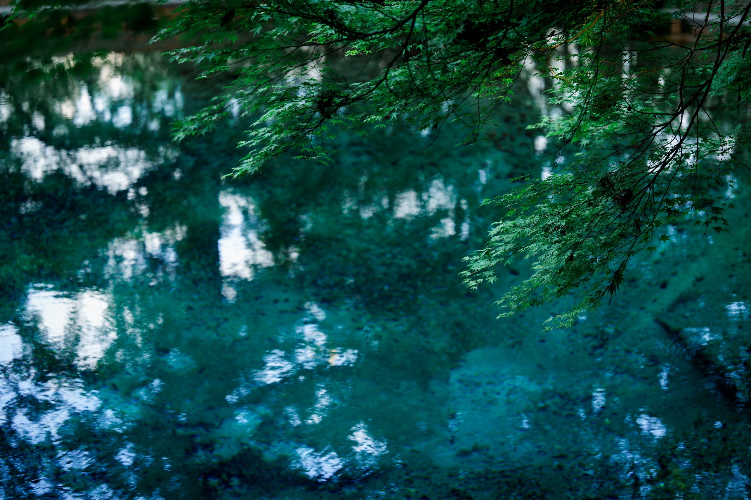 山口篇（秋吉台・秋芳洞・角島大橋ほか）